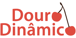 douro dinamico