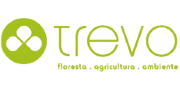 o trevo